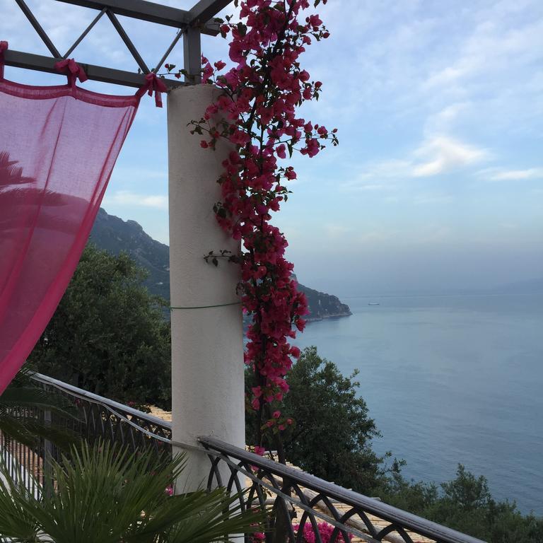 B&B I Limoni 라벨로 외부 사진