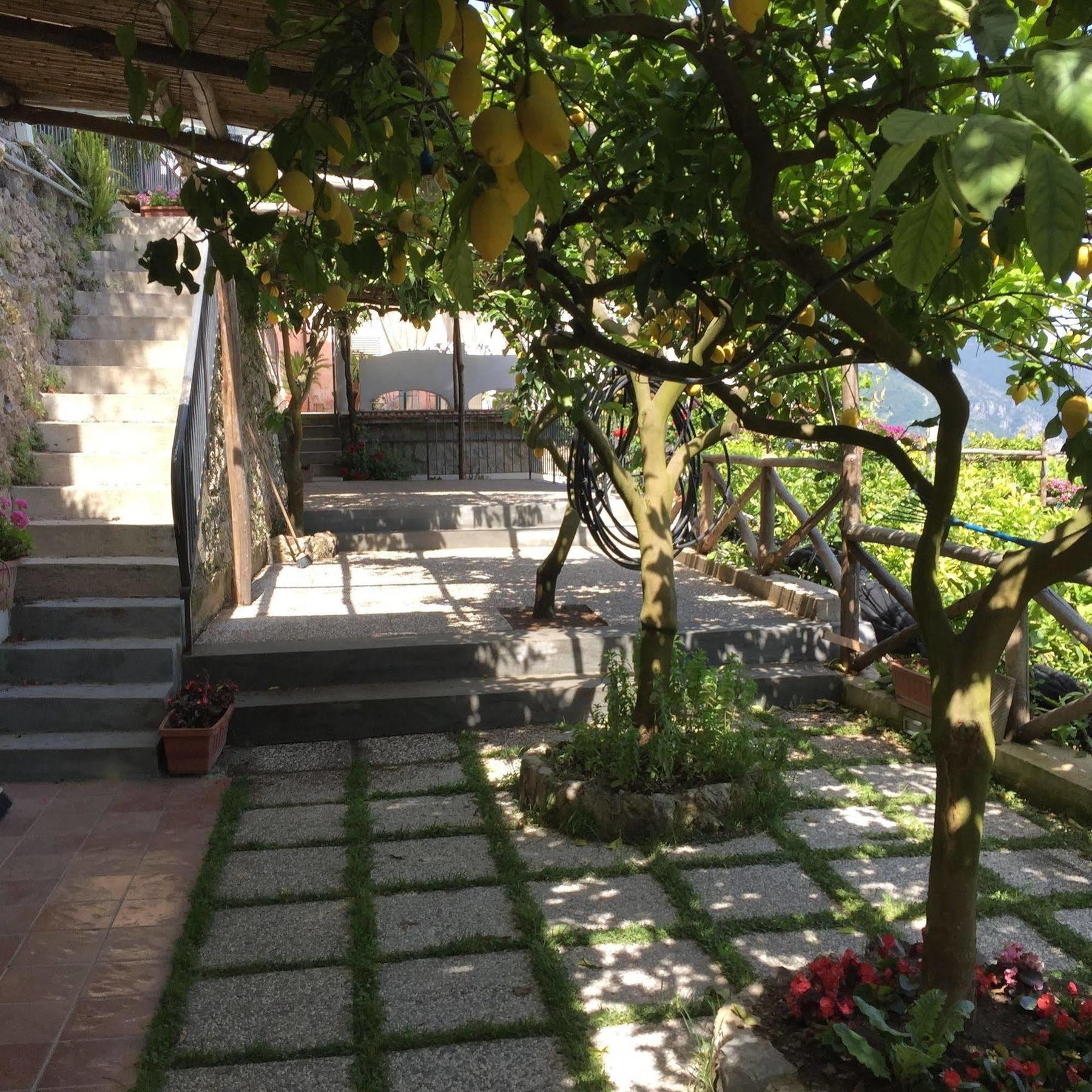 B&B I Limoni 라벨로 외부 사진
