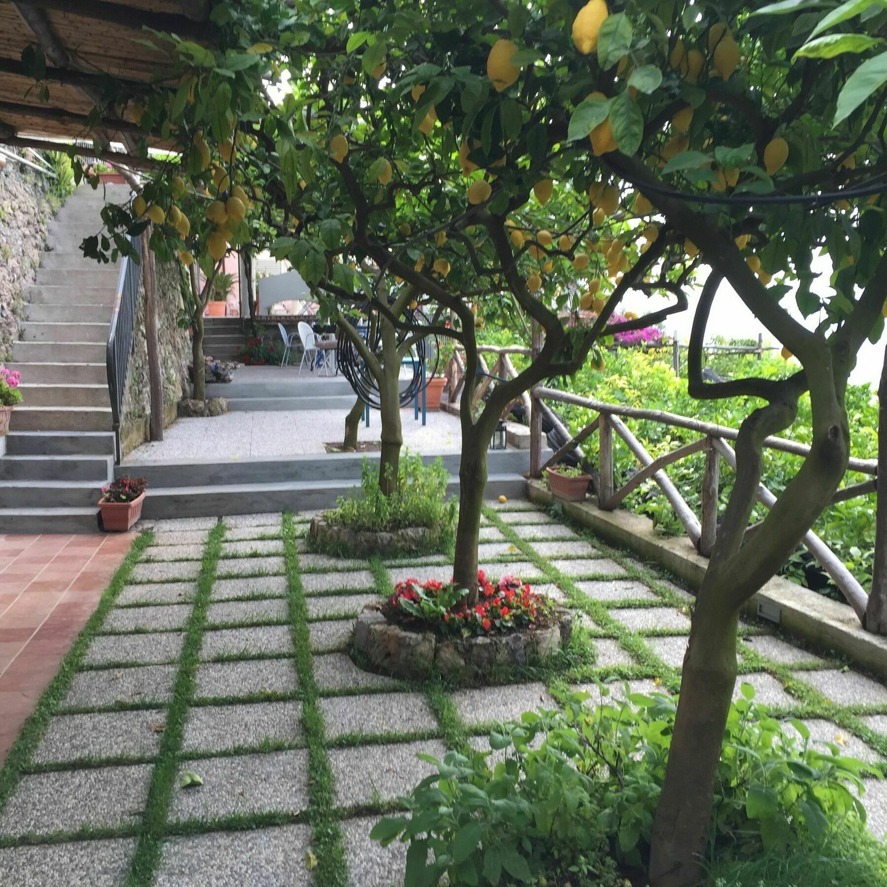 B&B I Limoni 라벨로 외부 사진